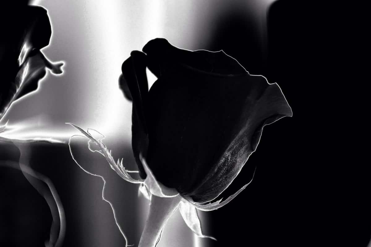 Totengedenken - Gottesdienst