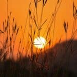 Geistliches Abendgespräch