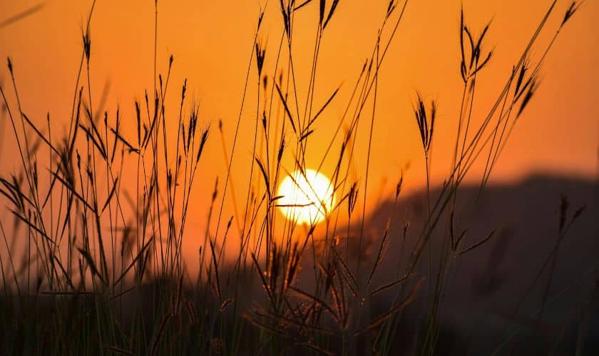 Geistliches Abendgespräch